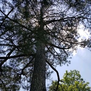 Meet your Posher, Kelli